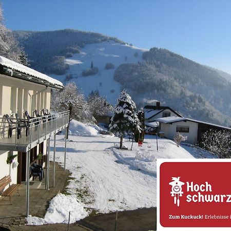 Steiert Panorama Apartments Todtnau Extérieur photo