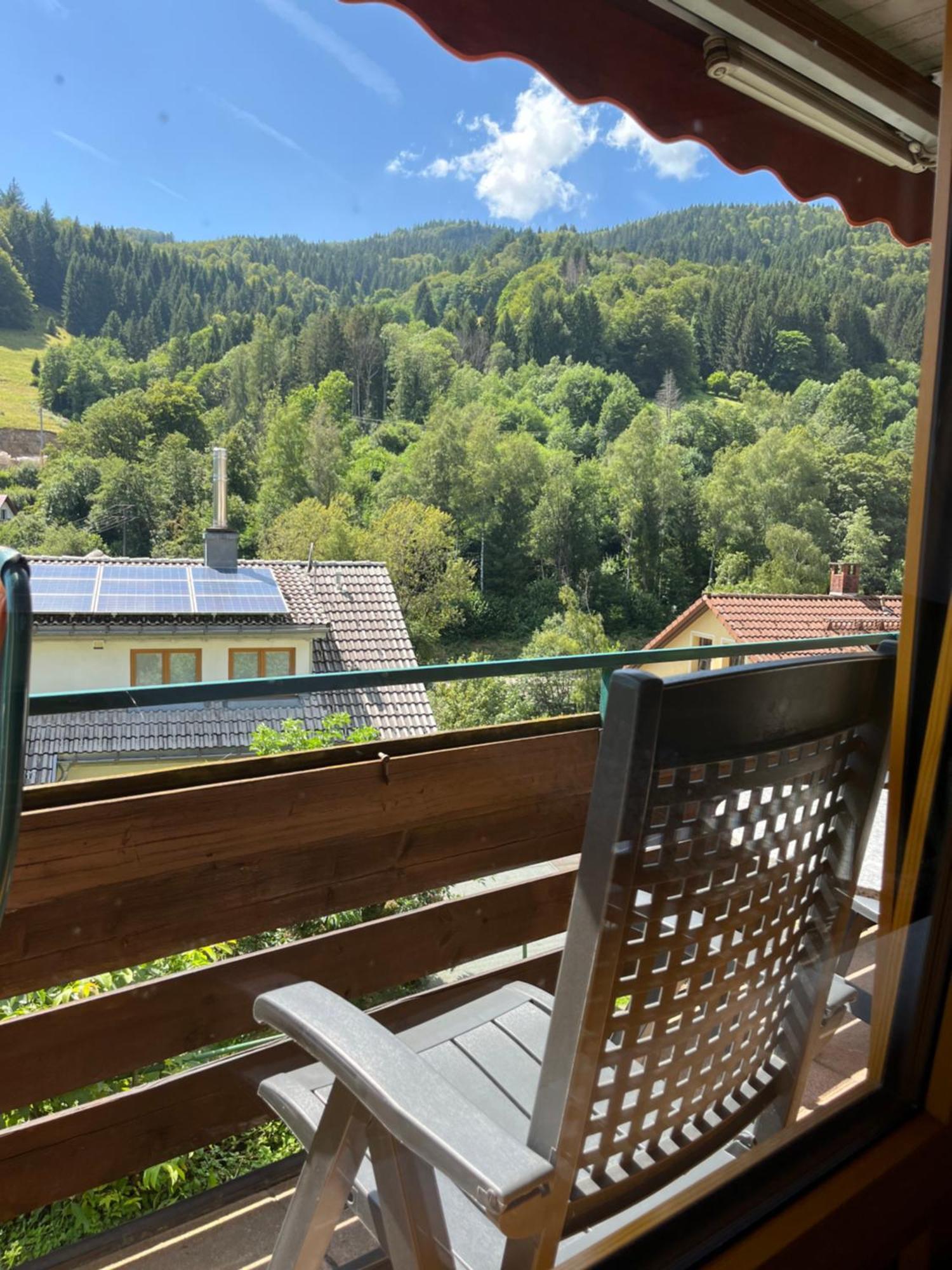 Steiert Panorama Apartments Todtnau Extérieur photo