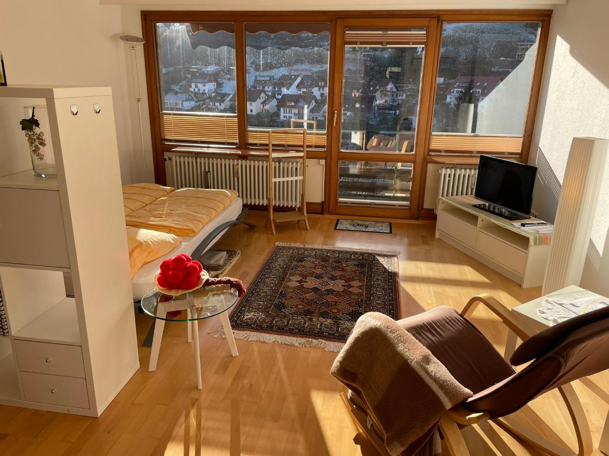 Steiert Panorama Apartments Todtnau Extérieur photo