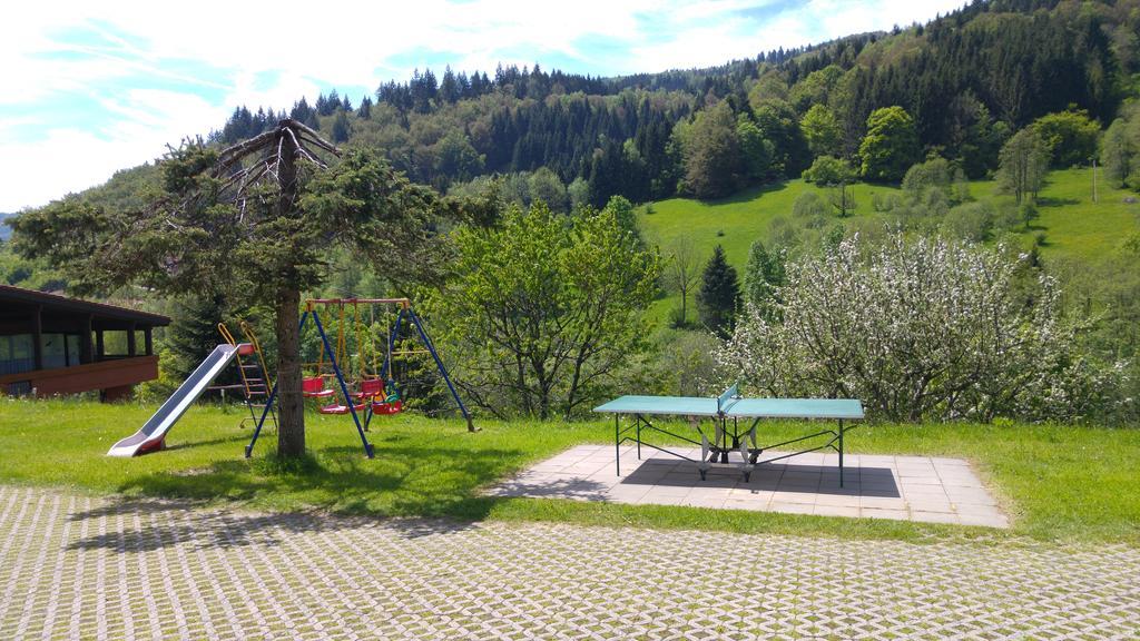 Steiert Panorama Apartments Todtnau Extérieur photo