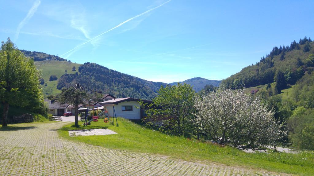 Steiert Panorama Apartments Todtnau Extérieur photo