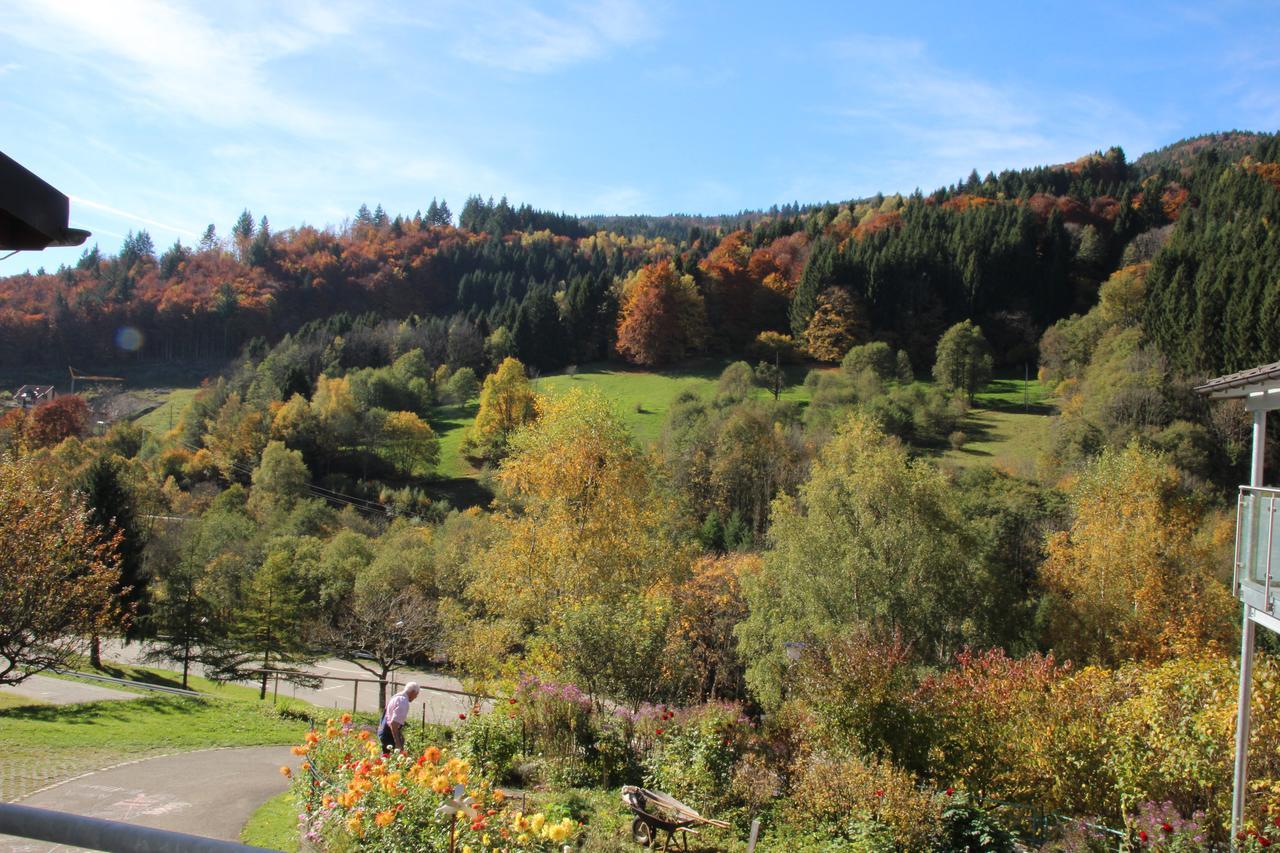 Steiert Panorama Apartments Todtnau Extérieur photo