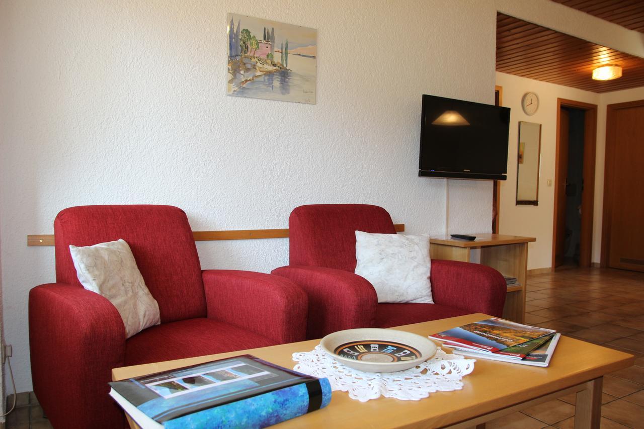 Steiert Panorama Apartments Todtnau Extérieur photo
