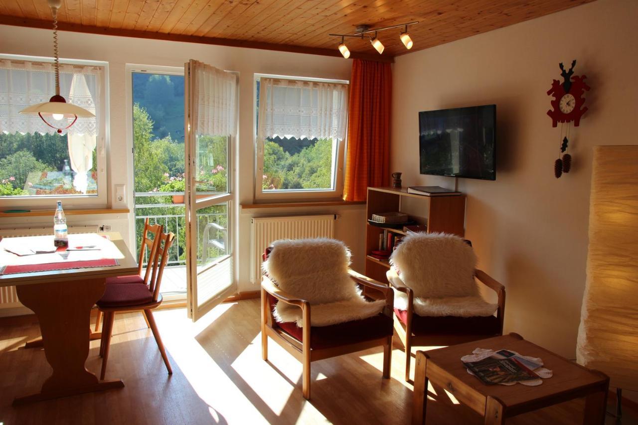 Steiert Panorama Apartments Todtnau Extérieur photo