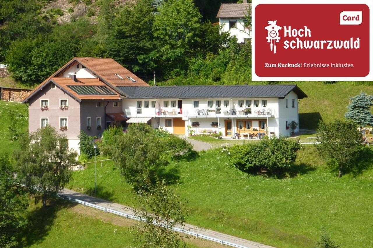 Steiert Panorama Apartments Todtnau Extérieur photo