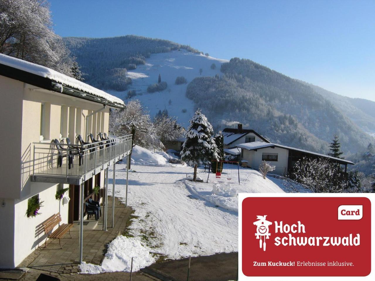 Steiert Panorama Apartments Todtnau Extérieur photo