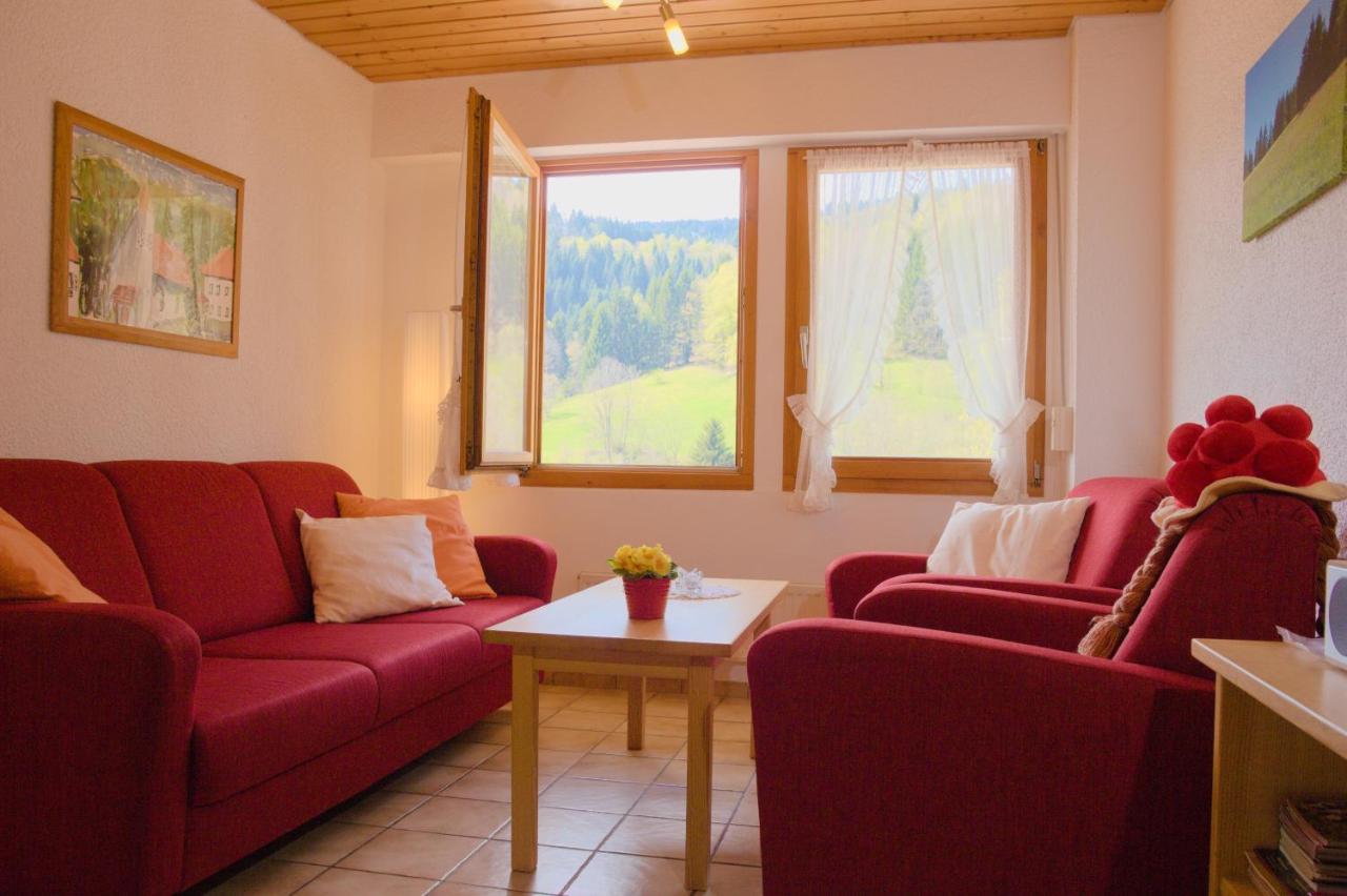 Steiert Panorama Apartments Todtnau Extérieur photo