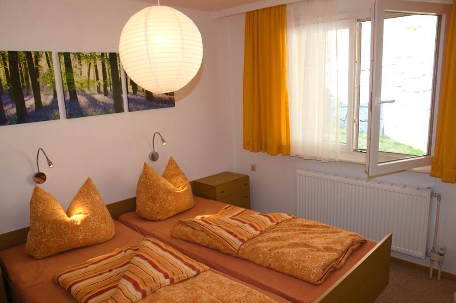 Steiert Panorama Apartments Todtnau Extérieur photo