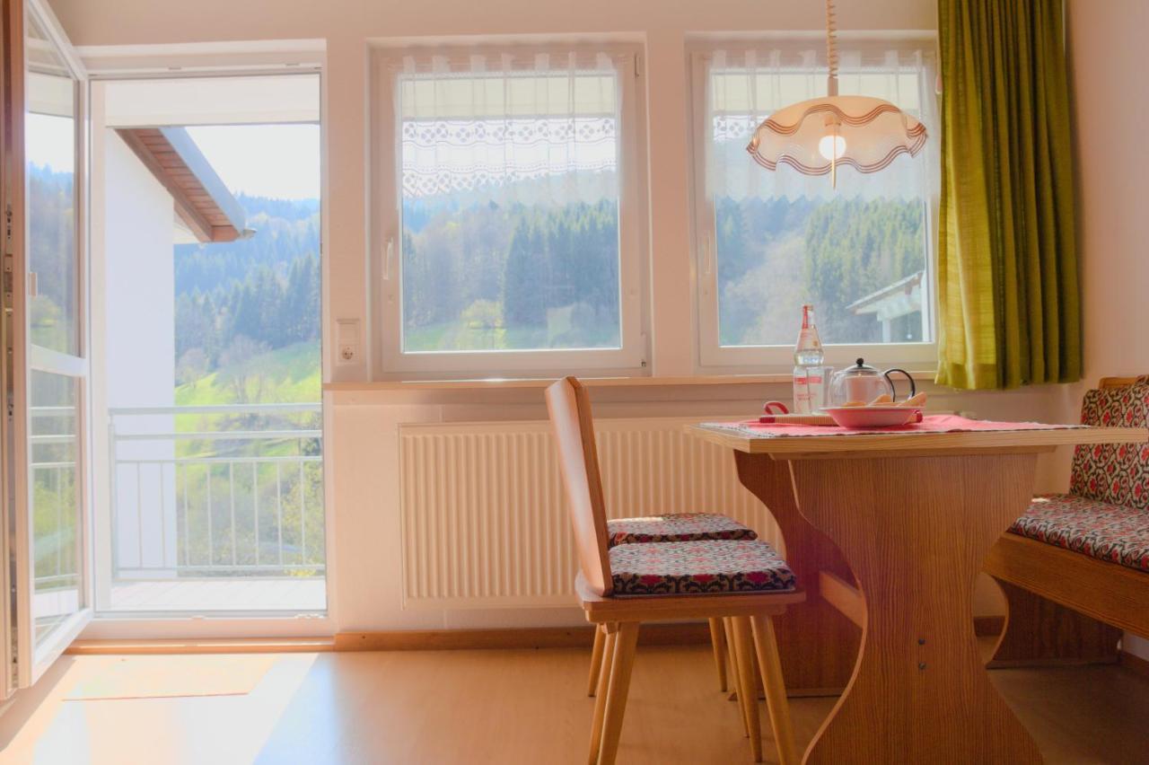 Steiert Panorama Apartments Todtnau Extérieur photo